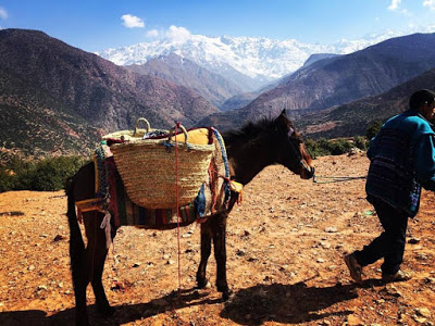 The Beginning of a Moroccan Adventure