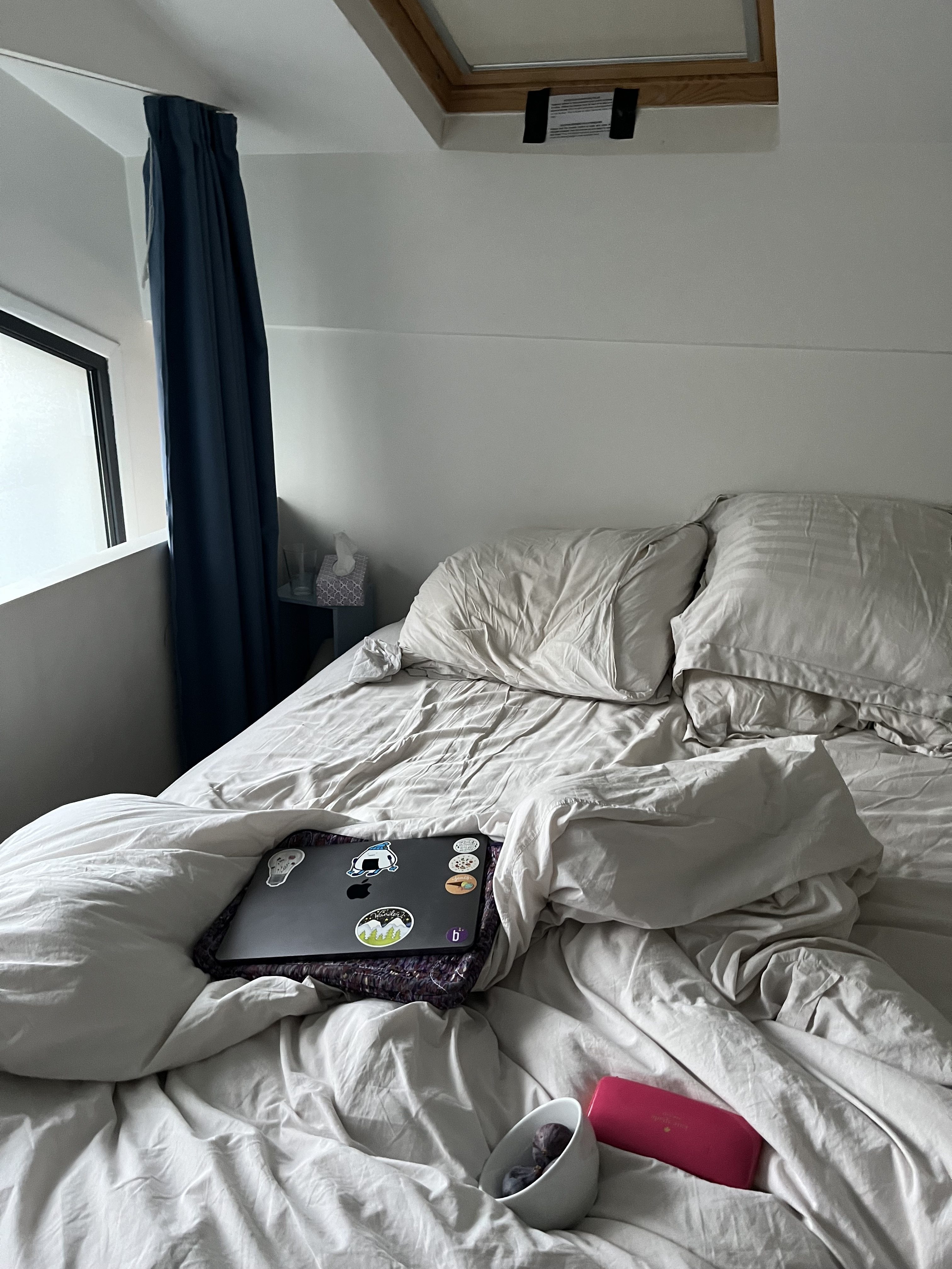 Getting sick + healing in Paris